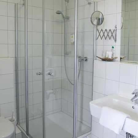 Business & Conference 3* Großwallstadt