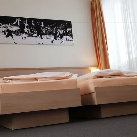Business & Conference Sporthotel Grosswallstadt 3*